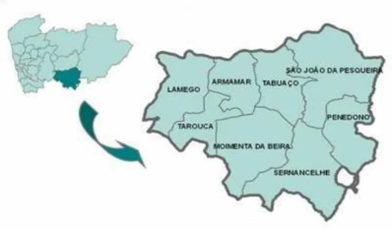 Figura 2. Agrupamentos de Centros de Saúde Douro Sul  (fonte: http://portal.arsnorte.min-saude.pt/) 