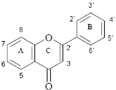 Figura 7. Estrutura básica dos flavonóides 