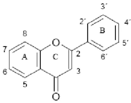 Figura 3: Estrutura básica dos flavonóides. 