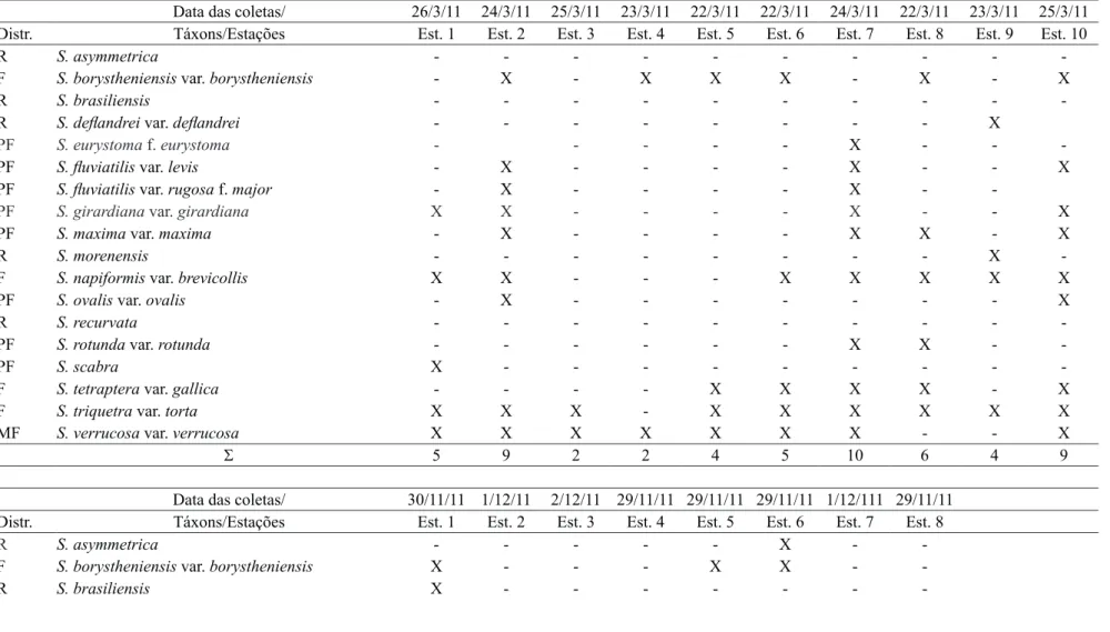 Table 1. Distribution of  Strombomonas  in 10 sampling sites in the Área de Proteção Ambiental (APA) do Ibirapuitã, RS, Brazil, between 2011/2012