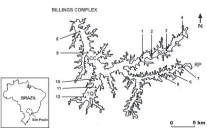 Figure 1. Sampling sites and corresponding TSI in Billings  Complex. RG: Rio Grande Reservoir (1-4), RP: Rio Pequeno  branch (5-6), CC: Central body (8-9), TQ: Taquacetuba branch  (10-12), circles: mesotrophic sites, triangles: eutrophic sites and  star: s