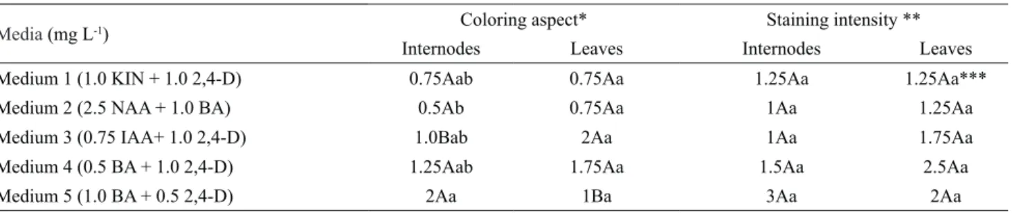 Table 2. Effect of growth regulators on the appearance and intensity of color in calli from internodes and leaves of  Alternanthera brasiliana at the end of the growth period.