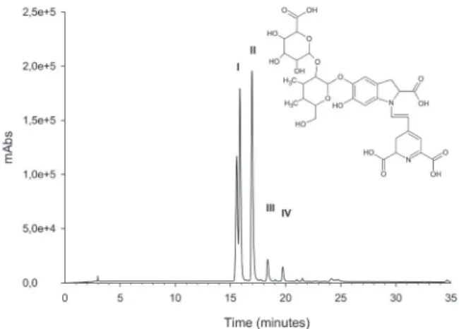 Figure 3. Chromatogram of the aqueous extract of Alternathera  brasiliana  calli grown on culture medium 3 (0.75 mg L  -1  of IAA  and 1 mg L -1  2, 4-D) in the wavelenght at 536 nm