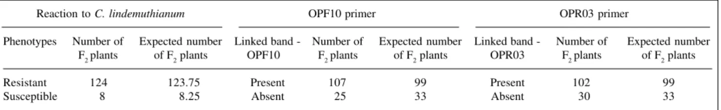 Table IV - Number of F 2  bean plants with resistant or susceptible phenotypes and occurrence of linked bands generated by the primers OPF10 and OPR03, for the cross P24 x Ouro.