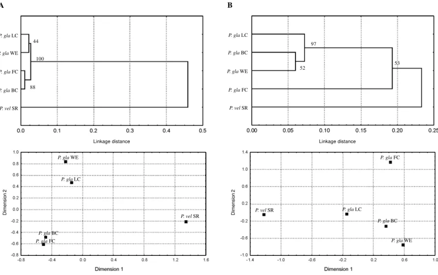 Figure 2 - Phenograms (top) and multidimensional scaling plots (bottom) obtained from Nei’s (1978) genetic distances among populations for isozymal data (A) and RAPD loci (B)