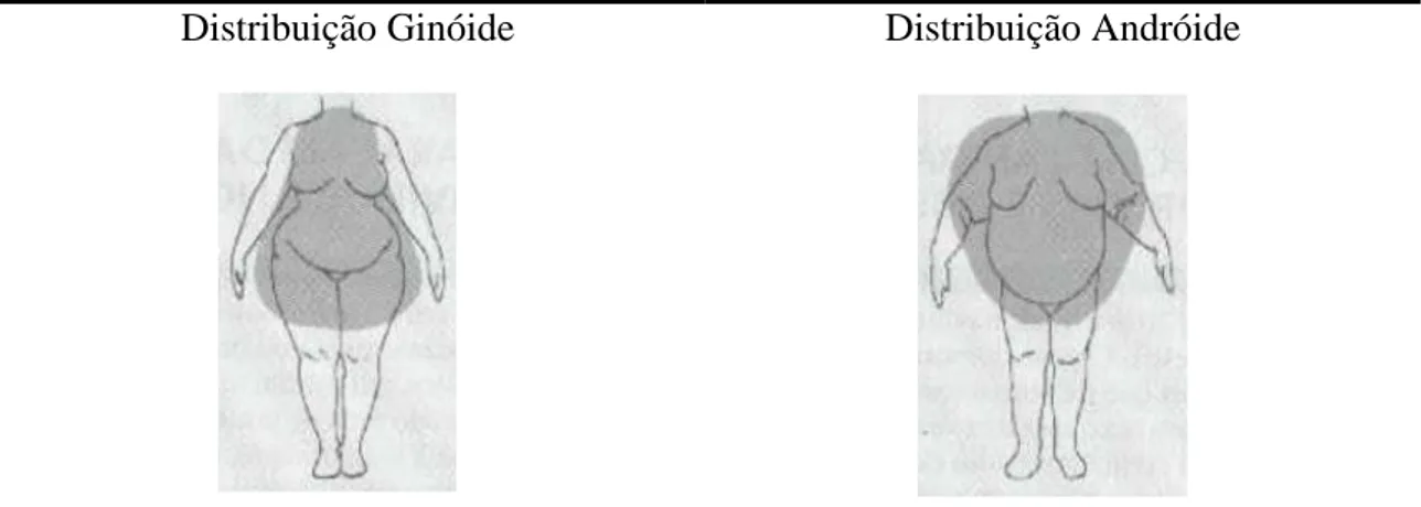 Figura 1. Classificação da obesidade (McArdle, Katch &amp; Katch, 1994). 
