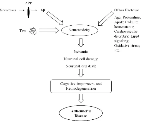 Fig. 4: Various risk factors involved in neurotoxicity and AD onset. Proposed sequence of events in the development  of AD, with a possible influence of Aβ, Tau and other risk factors