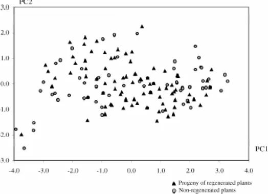 Figure 2 - Plot of the individuals on the basis of principal component 1 (PC1) and principal component 2 (PC2).