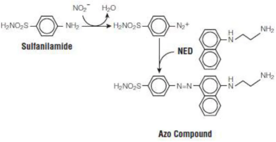 Figura 6: Reações químicas envolvidas na medição do NO 2 -  usando os Reagentes Griess (Promega 2009)