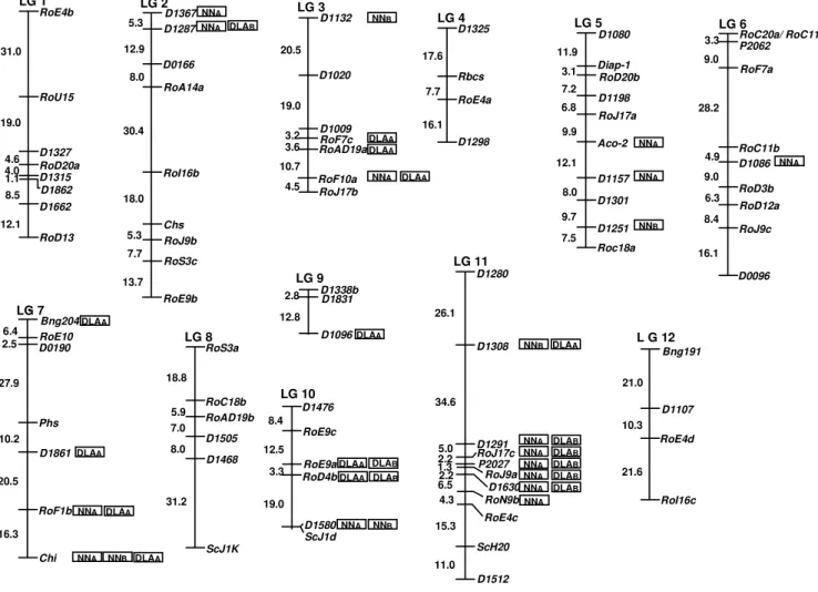 Figure 1 - Linkage map of the common bean based on genotypic information from 85 marker loci of 91 recombinant inbred lines
