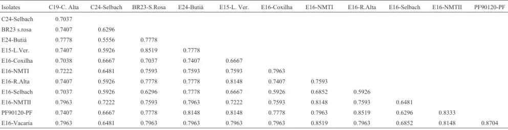 Table IV - Drechslera tritici-repentis similarity matrix coefficients based on colony morphology only.