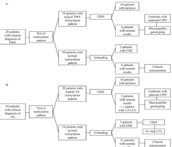 Figure 2 - A summary of the cytogenetic and molecular findings of 28 patients with clinical diagnosis of PWS (A) and 44 patients with clinical diagnosis of AS (B).