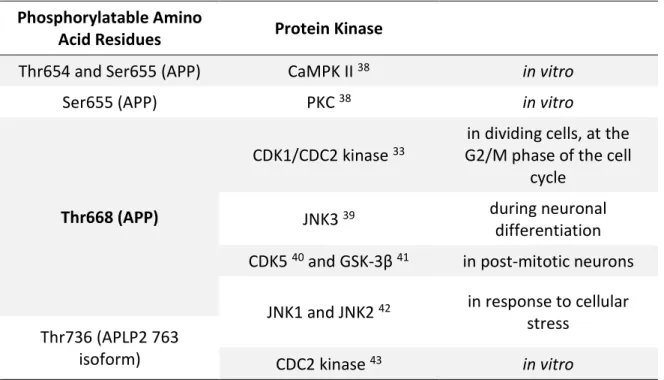 Table 1: Some of phosphorylation sites of APP and its homologues, and the different enzymes that mediate  the phosphorylation