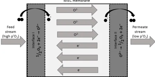 Figure 7 - Conduction mechanism in MIEC membranes [30] 