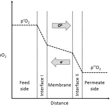Figure  8 represents  the  concentration  profile  of  the  oxygen  through  the  membrane  showing the influence of the five stages listed above