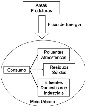 Figura 1 – Fluxo de energia no meio ambiente urbano 