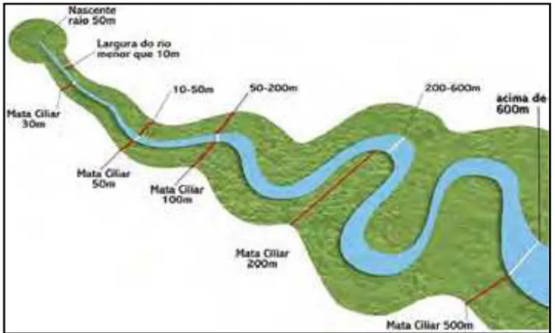 Figura 3 – Representação do Código Florestal de 1965 (Fonte: WWF) 