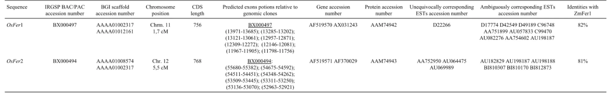 Table 5 - Sequences found in the rice genome homologous to the maize Fer1 protein. The two Ferritin sequences found in rice were obtained from full-length cDNA sequencing