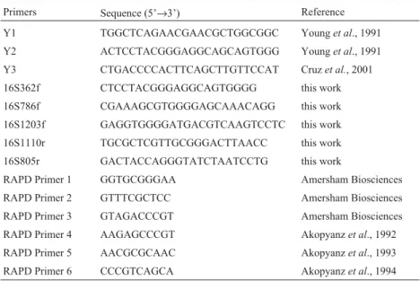 Table 1 - Sequences of the primers used.
