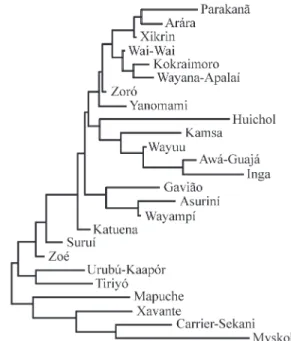 Table 3 - Heterozygosity (x100) and genetic distances (DA) between Amerindian tribes based on β-globin haplotypes (X 10,000).