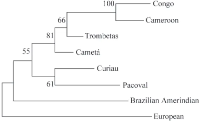 Table 4 - Statistical parameters for autosomal loci in the Curiau population.