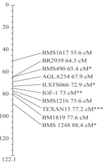 Figure 1 - Approximate location of the molecular markers tested in the genotypic analysis of the sires