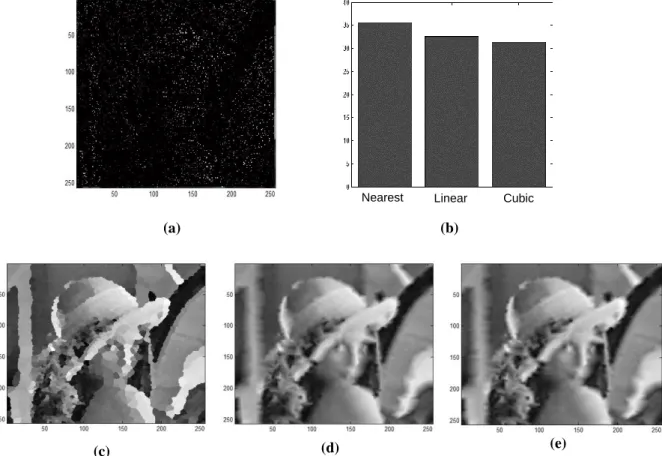 Figure 4.4 – (a) Corrupted 95% Lena image, (b) Interpolation rmse, (c) Nearest neighbour interpolation of corrupted  Lena, (d) Linear interpolation of corrupted Lena and (e) Cubic interpolation of corrupted Lena