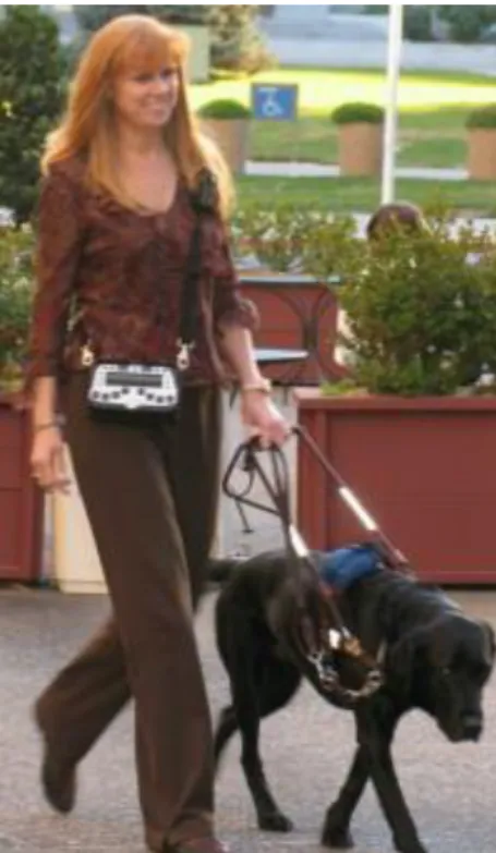 Figure  2.3  shows  a  blind  user  walking  assisted  with  Sendero  GPS  and  the  local  spatial  information given by a guide dog