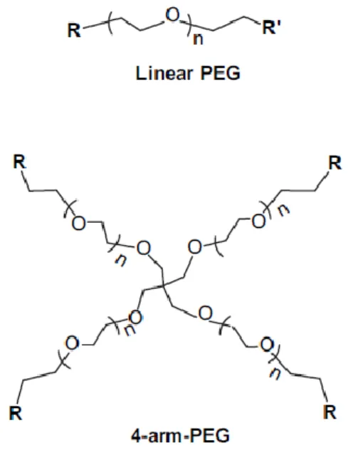 Figure 8. PEG structure.  