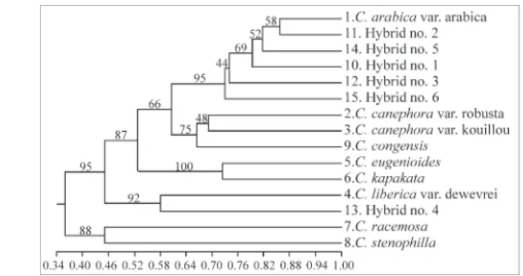 Figure 2 - Unweighted pair group method with arithmetic averages (UPGMA) dendrogram showing the relationships among eight Coffea species and six interspecific hybrids