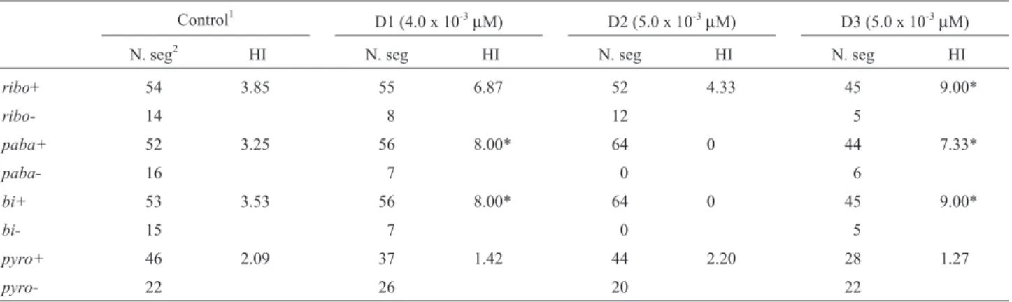 Figure 4 - Mitotic segregant with crinkled morphology produced by spon- spon-taneous haploidization of the D1 diploid strain.