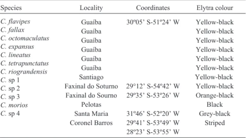 Table 1 - Chauliognathus species, locality of collection, and elytra colour pattern.