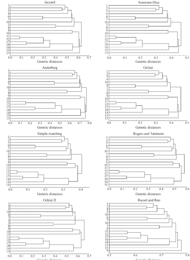 Figure 1 - Dendrograms constructed for the 18 maize inbred lines of BR-105 and BR-106 populations, obtained from genetic distances based on different similarity coefficients for the AFLP molecular marker (UPGMA).
