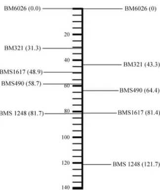 Table 4 - Number of informative meiosis events for each marker on the data used to build the reference map (http://www.marc.usda.gov) and to build the Embrapa map.