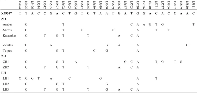 Table 1 shows polymorphic sites in the control region between the five maternal lineages of Zemaitukai horse breed, Lithuanian Heavy Draught, Zemaitukai Heavy Type and the reference sample - GeneBank X79547 (Xu and Arnason, 1994)