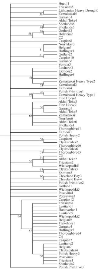 Figure 1 - Neighbour-joining tree with 1000 bootstrap replication for Lithuanian and other European horse breeds.