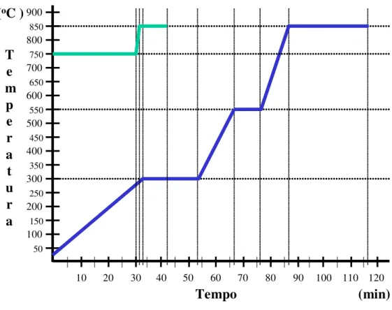 GRÁFICO 1 – Gráfico esquemático da velocidade de aquecimento dos blocos de  revestimento, temperatura x tempo, utilizado para a técnica de  inclusão e fundição convencional (linha azul) e rápida (linha  verde)