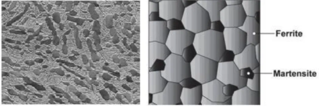 Figure 2.2 - DP steels microstructure [5] 