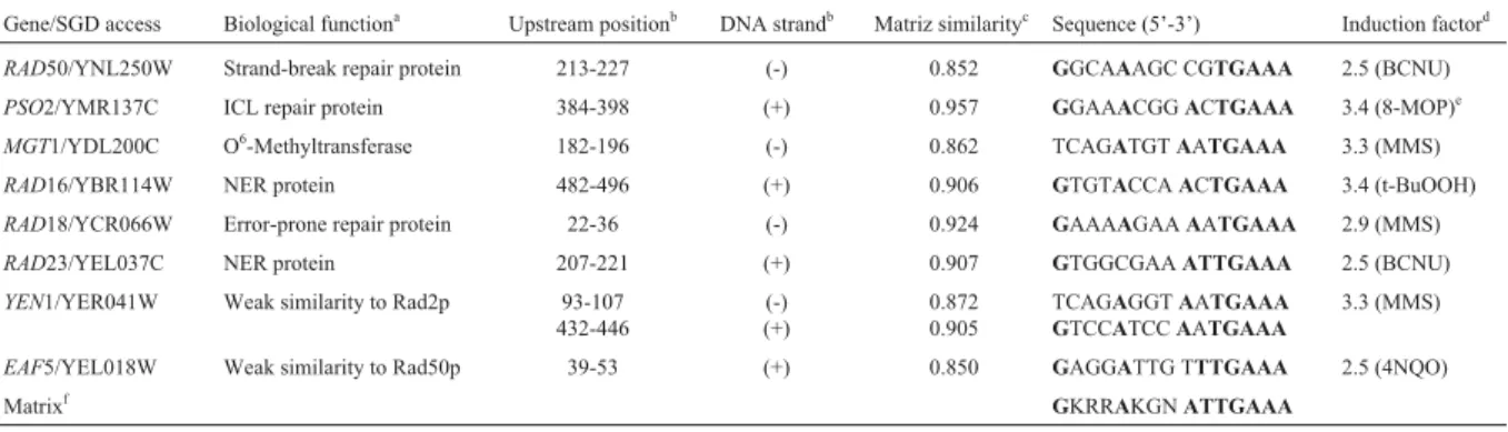 Table 1 - Computational analysis of DNA repairs genes from S. cerevisiae identified by MatInspector algorithm containing DRE-matrix elements in their promoters.