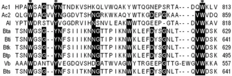 Figure 3 - Composition of the C-terminal domain of Bacillus thuringiensis (Bt) serovar sotto (Bt sotto) chitinase (Chi) Schi with chitin-binding domain (ChBD) of other chitinase