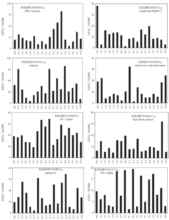 Figure 3 - In silico expression profile of ubiquitous clusters. The EST frequency was normalized by the number of reads in each library and corrected to 10,000 ESTs