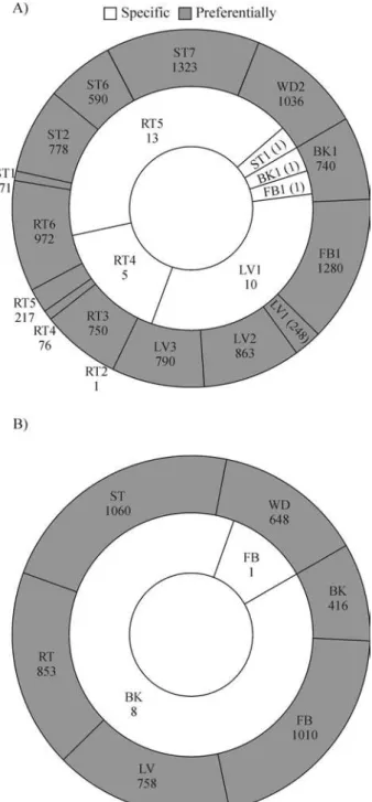 Figure 4 - Distribution of genes with specific or preferential expression in libraries or pools when calli and seedlings libraries and pools were not considered