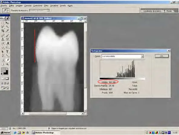 FIGURA 6 –  Software Adobe Photoshop. Ferramentas localizadas na coluna à  esquerda e Histogram à direita