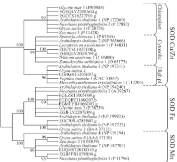 Figure 3 - Phylogenetic tree of CAT proteins. Phylogenetic analyses were conducted as described in Figure 2.