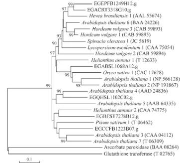 Figure 7 - Phylogenetic tree of GR proteins. Phylogenetic analyses were conducted as described in Figure 2.