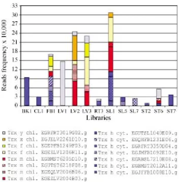 Figure 4 presents a multiple sequence alignment of the EGEZFB11E11.g deduced protein and the TDX genes from Arabidopsis thaliana and Nicotiana tabacum