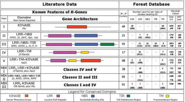 Figure 1 - Representation of main R-genes classes considering the presence and position of conserved domains from literature data, as compared with Eu- Eu-calyptus clusters from FOREST database