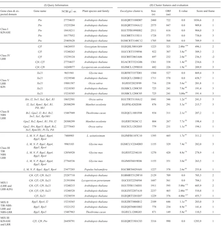 Table 2 - Blast results and sequence evaluation of Eucalyptus R genes, including the best matches of each R gene and MIX classes: (I) data about the query: gene class and name, NCBI gi ½ -number, species and family