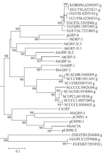 Figure 2 - Unrooted dendrogram of GRPs with C-terminal end sequences rich in cysteine