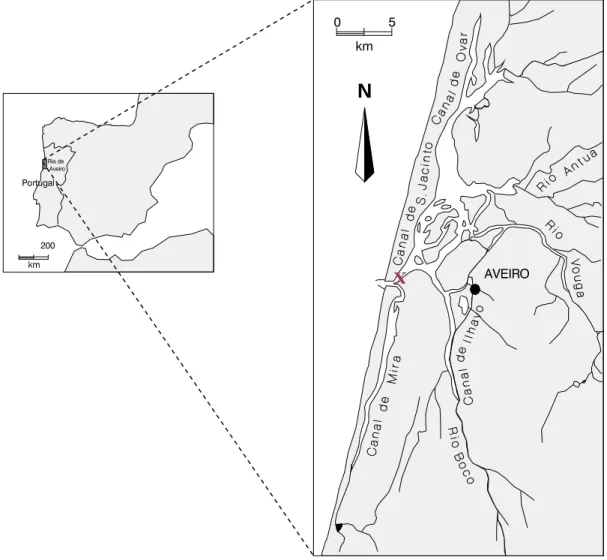 Figure 1 shows the geographical localization. The samples were collected at the centre of  the channel (latitude 40 o  38’ 43.3 N and longitude 8 o  44’ 55.2 W) at the surface and  bottom